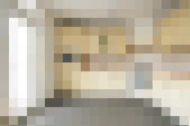 Seingeverstraat 18 Hoensbroek thumbnail 6