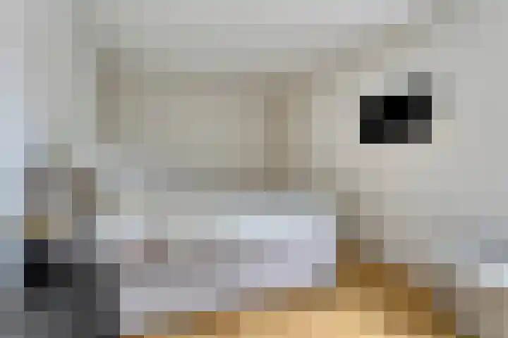 Seinhuisweg 2 Wijlre thumbnail 13