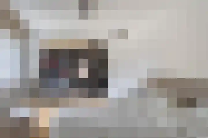 Seinhuisweg 2 Wijlre thumbnail 14