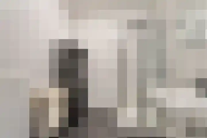 Seinhuisweg 2 Wijlre thumbnail 15