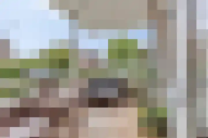 Seinhuisweg 2 Wijlre thumbnail 18