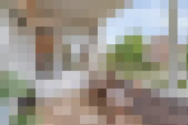 Seinhuisweg 2 Wijlre thumbnail 19
