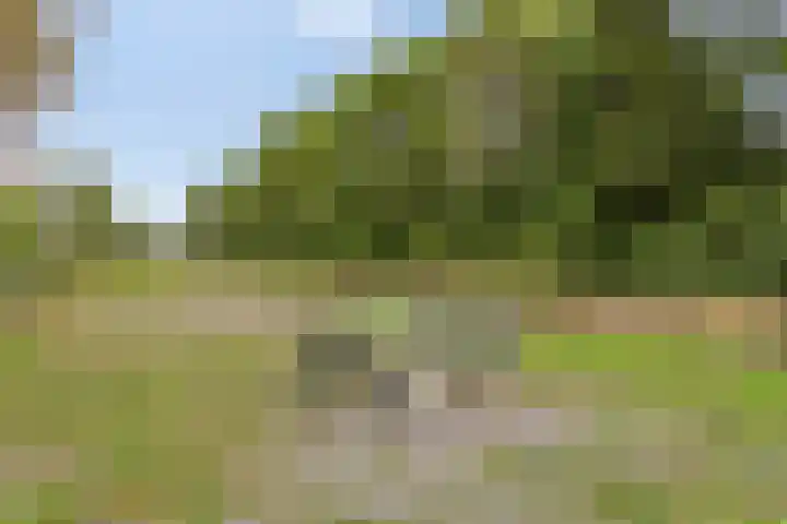 Seinhuisweg 2 Wijlre thumbnail 24