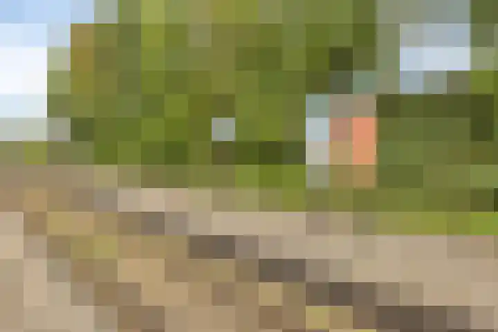 Seinhuisweg 2 Wijlre thumbnail 25