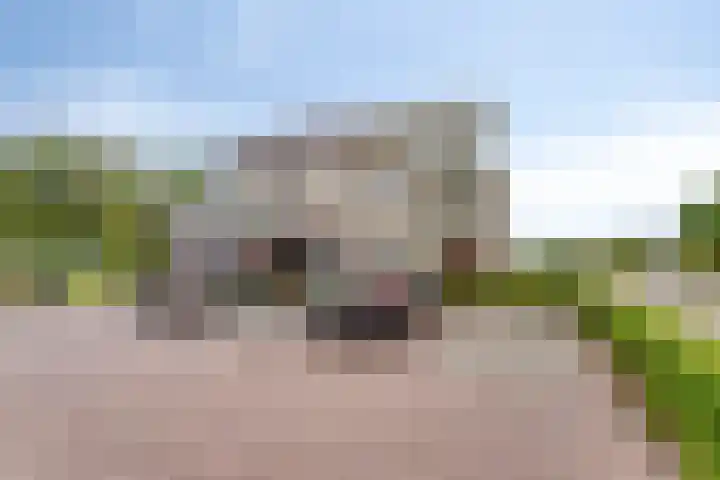 Seinhuisweg 2 Wijlre thumbnail 26