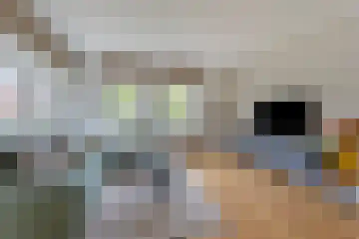 Seinhuisweg 2 Wijlre thumbnail 6