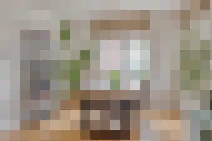 Seinhuisweg 2 Wijlre thumbnail 8