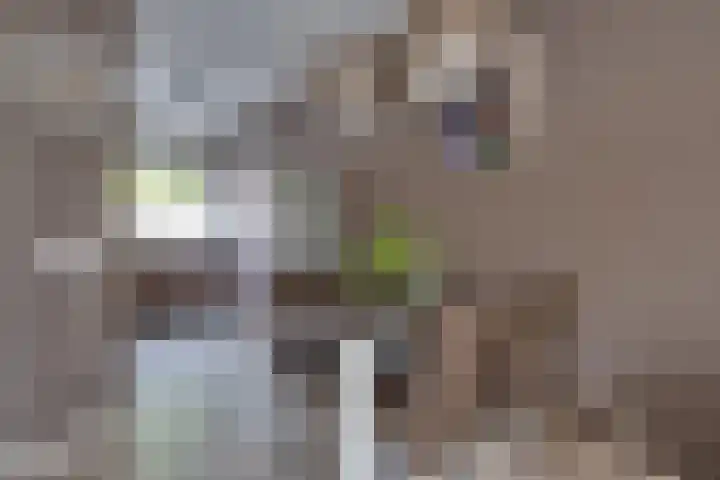 Seinhuiswei 25 Barendrecht thumbnail 12
