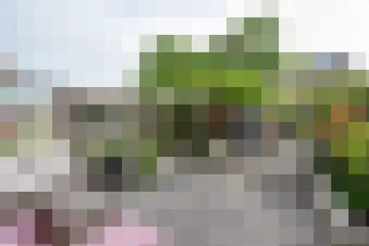 Seinhuiswei 25 Barendrecht thumbnail 14