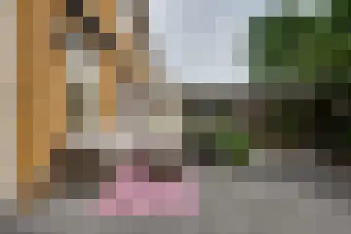 Seinhuiswei 25 Barendrecht thumbnail 15