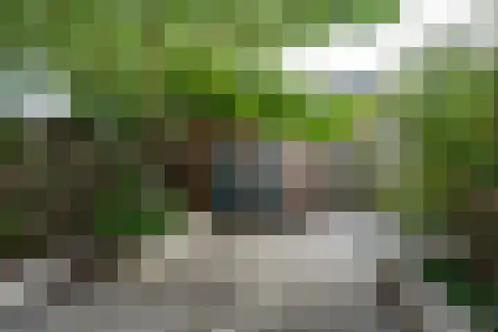 Seinhuiswei 25 Barendrecht thumbnail 16
