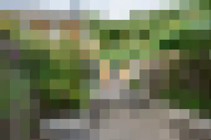 Seinhuiswei 25 Barendrecht thumbnail 17