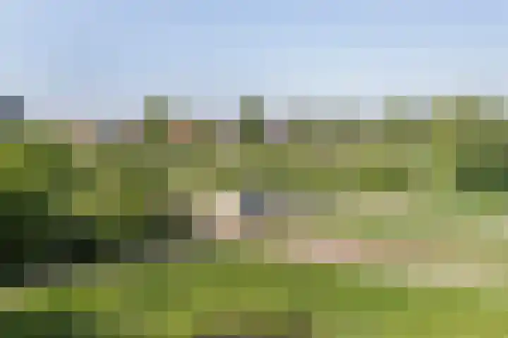 Seinhuiswei 8 Barendrecht thumbnail 17