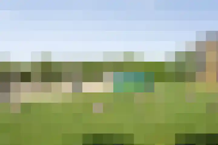 Seinhuiswei 8 Barendrecht thumbnail 26