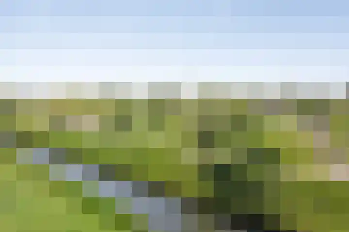 Seinhuiswei 8 Barendrecht thumbnail 5