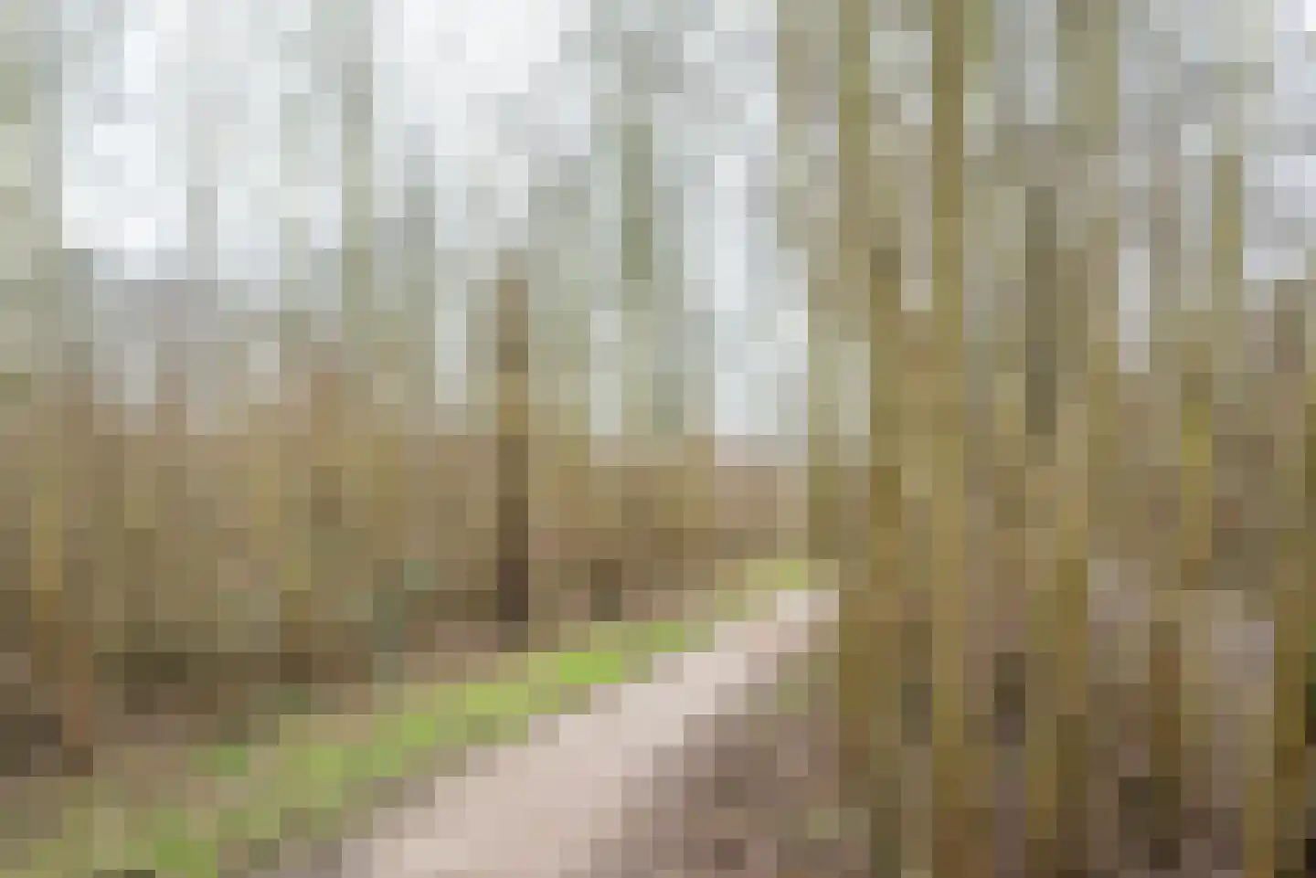 Seinmolen 10 Bleiswijk thumbnail 46