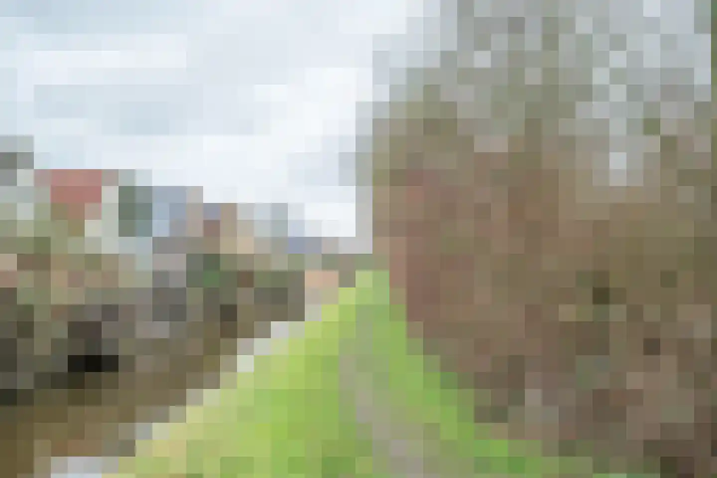 Seinmolen 10 Bleiswijk thumbnail 47