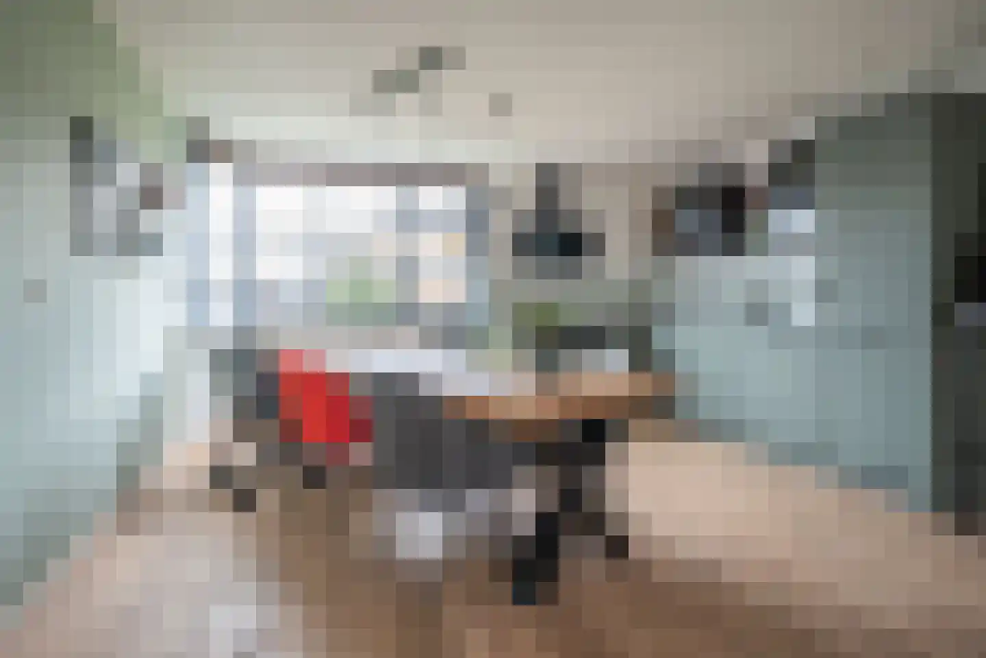 Seinmolen 10 Bleiswijk thumbnail 9