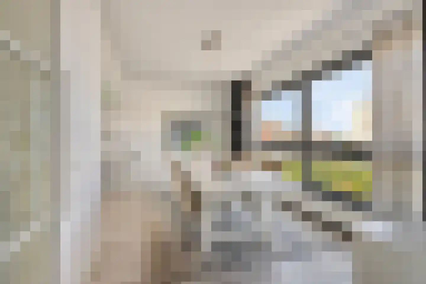 Seinpad 59 Hoek van Holland thumbnail 27