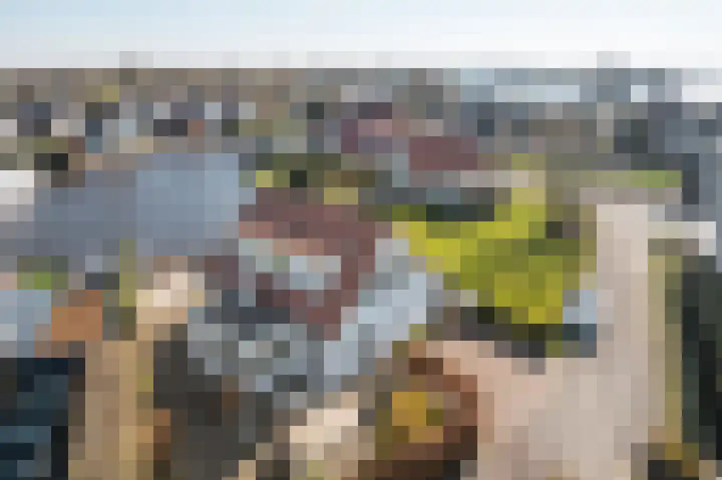 Seinpôlle 14 Grou thumbnail 36
