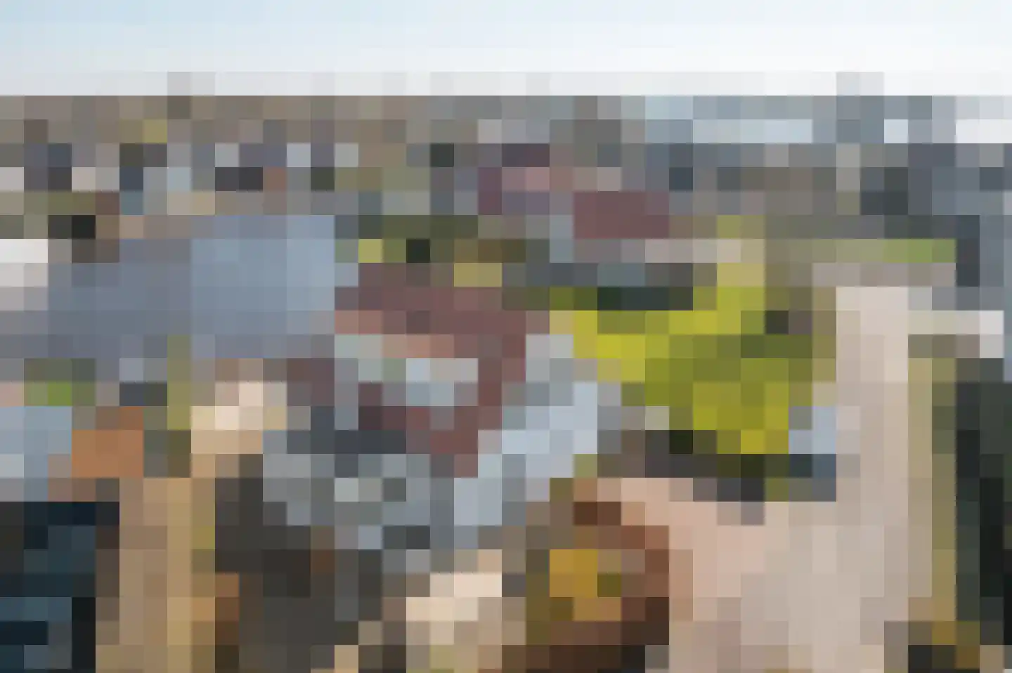 Seinpôlle 14 Grou thumbnail 36