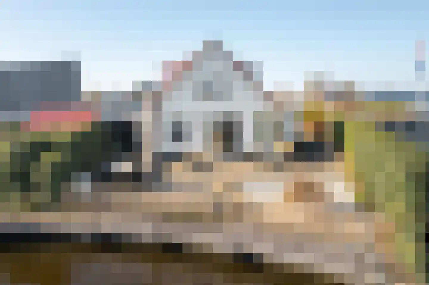 Seinpôlle 14 Grou thumbnail 4