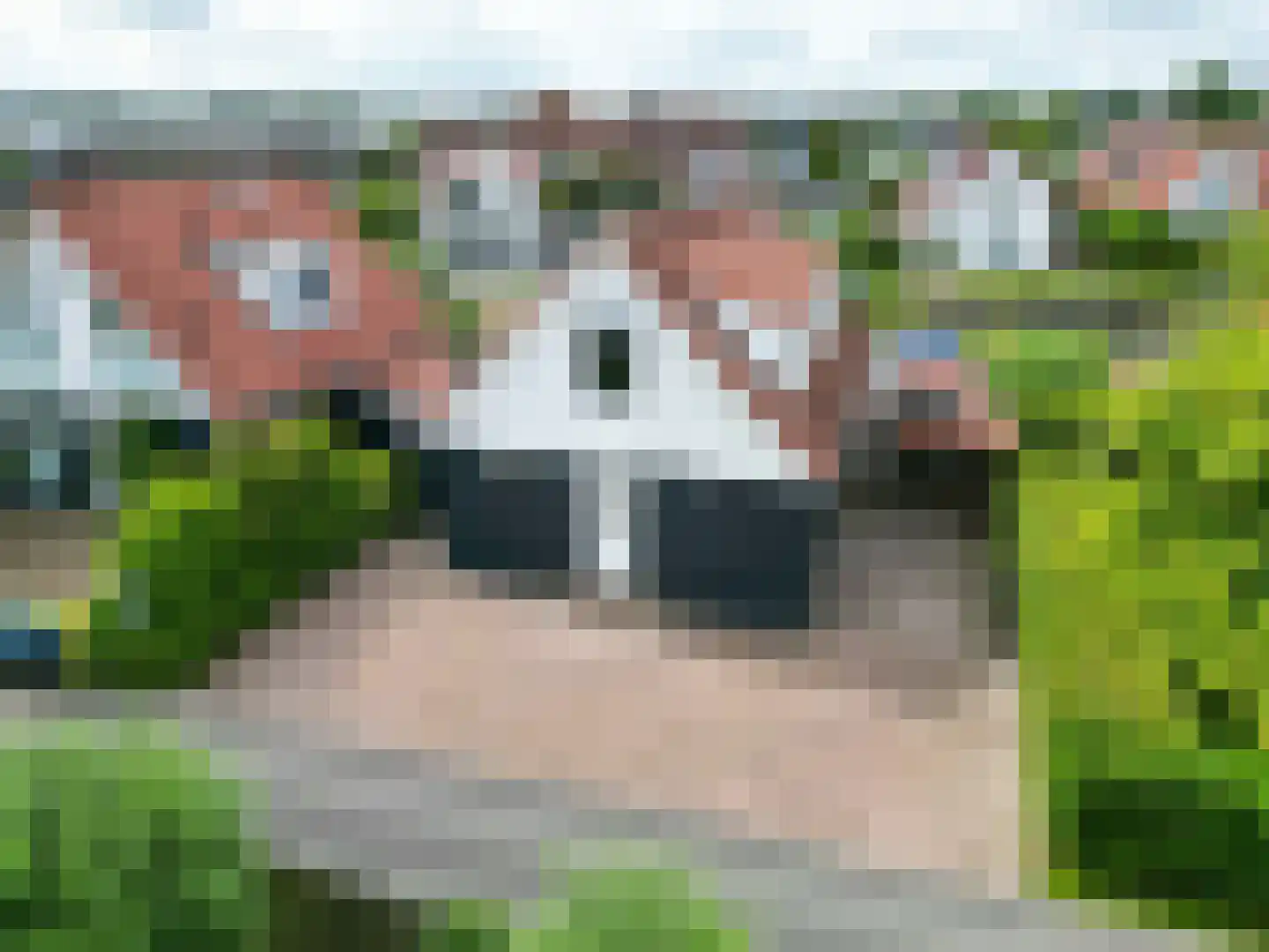Seinpôlle 22 Grou thumbnail 12