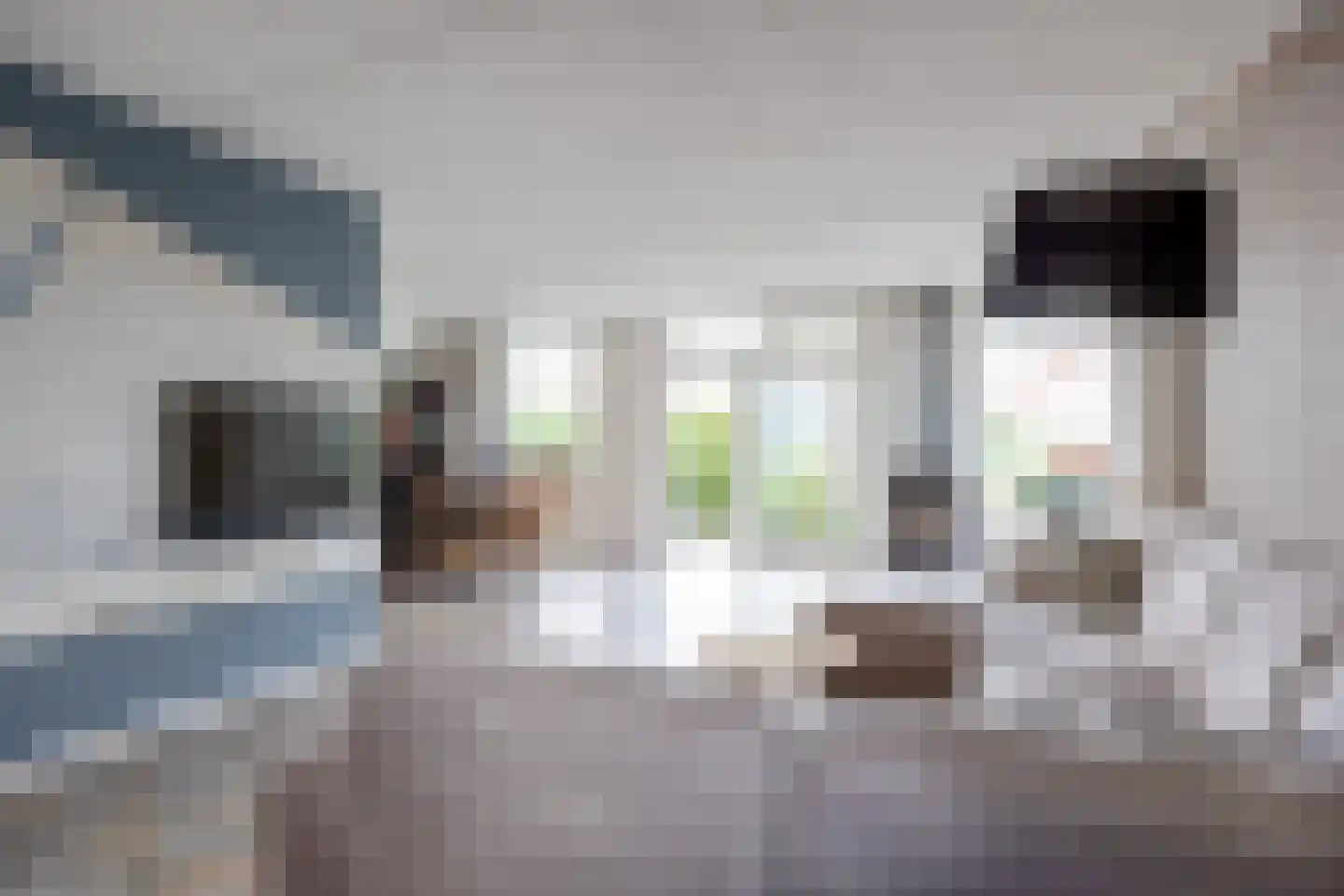 Seinpôlle 22 Grou thumbnail 19