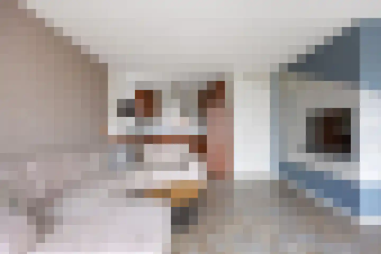 Seinpôlle 22 Grou thumbnail 28