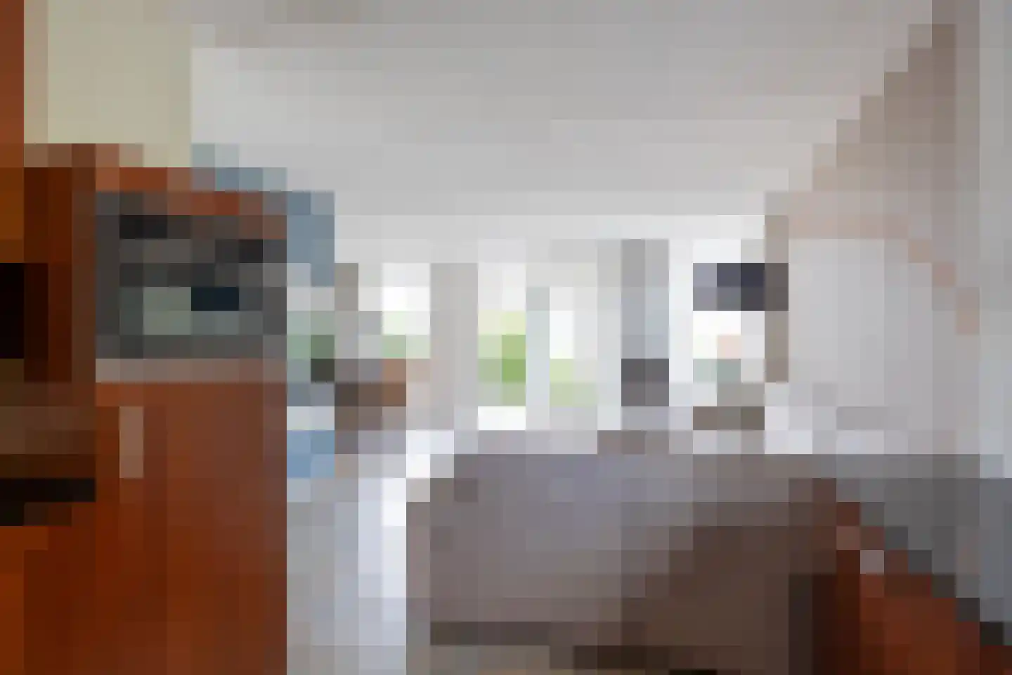 Seinpôlle 22 Grou thumbnail 33