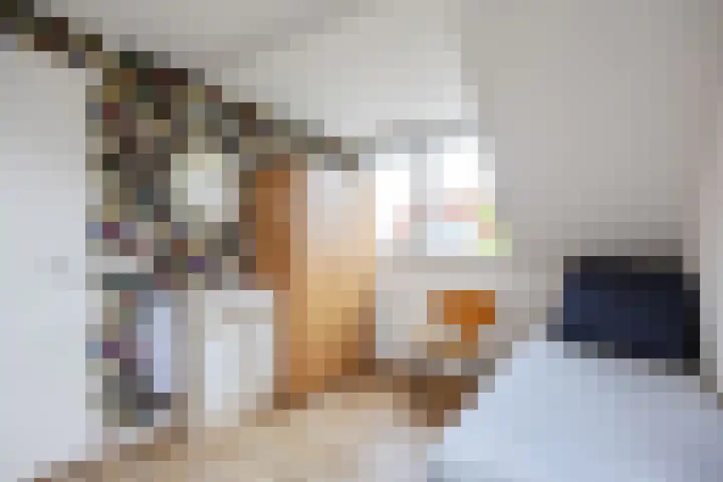 Seinpôlle 22 Grou thumbnail 41
