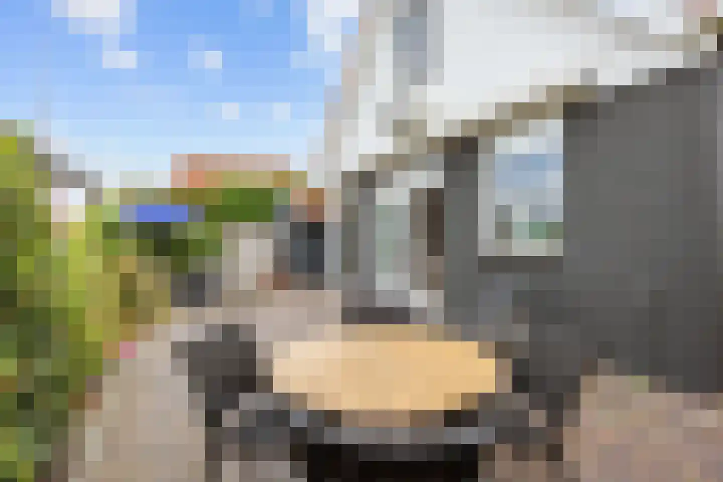 Seinpôlle 22 Grou thumbnail 47