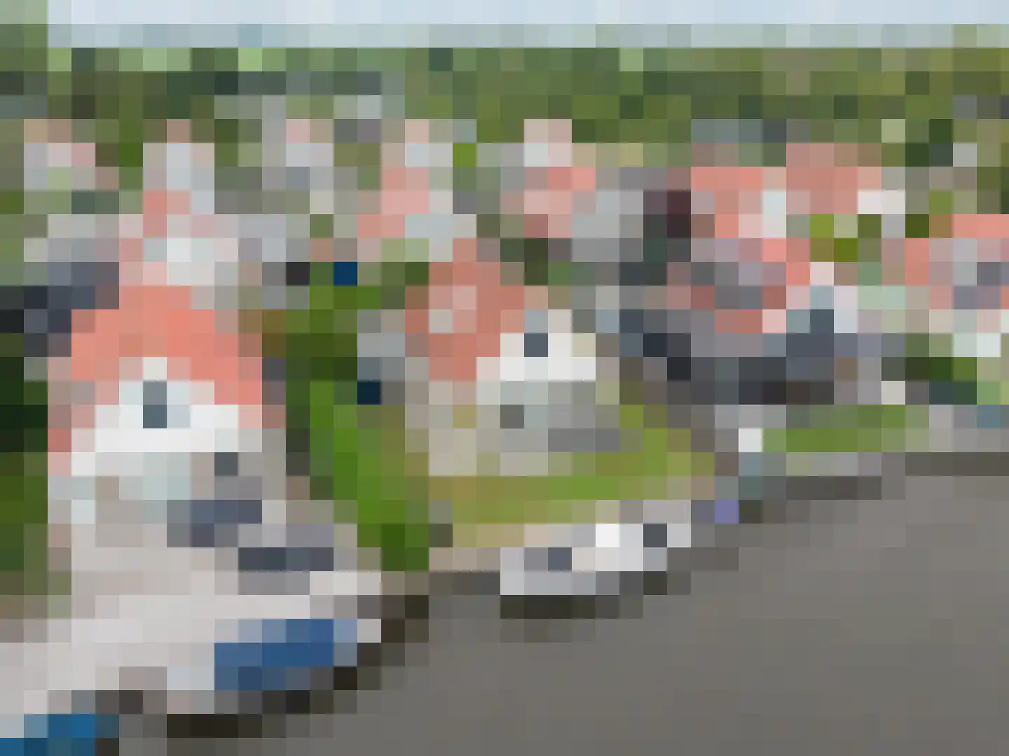 Seinpôlle 36 Grou thumbnail 8