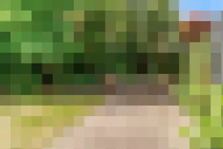 Seinpost 11 Aalsmeer thumbnail 29