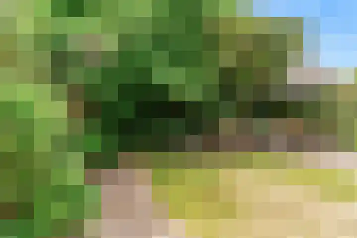 Seinpost 11 Aalsmeer thumbnail 30
