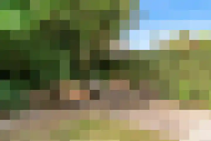 Seinpost 11 Aalsmeer thumbnail 31