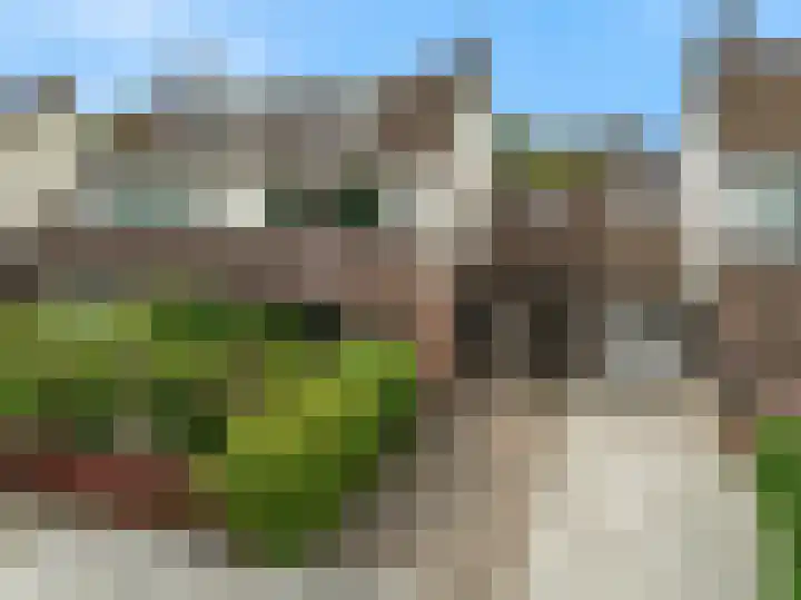 Seinpost 11 Aalsmeer thumbnail 41
