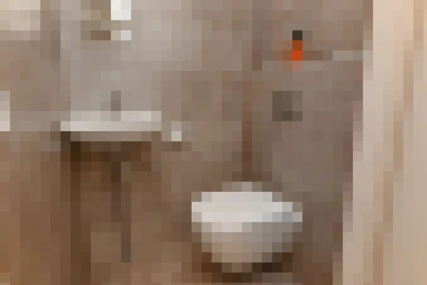 Seinpostduin 116 Den Haag thumbnail 8