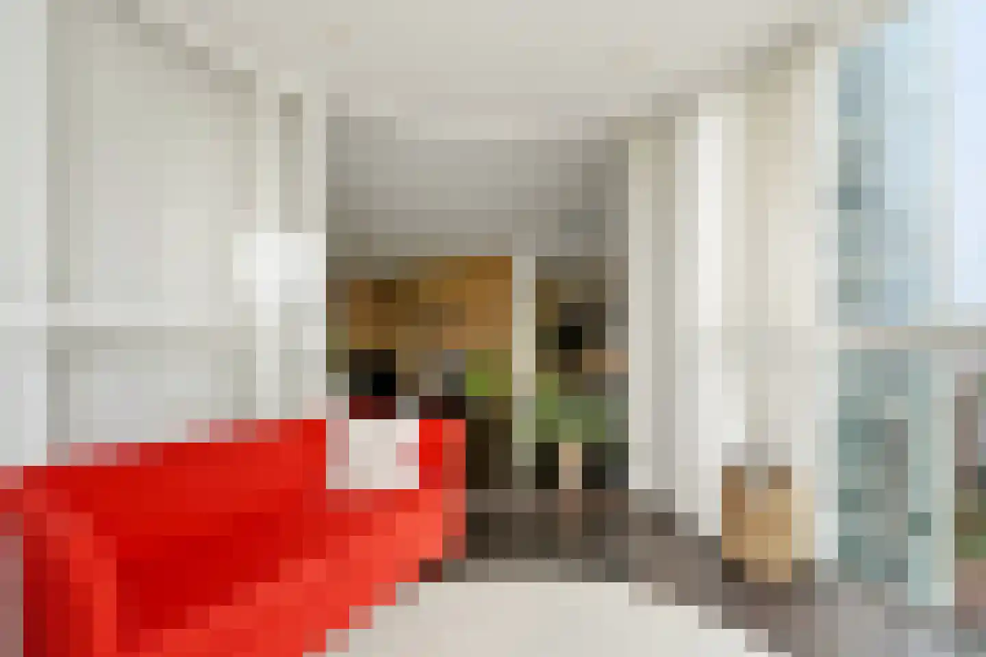 Seinpostduin 118 Den Haag thumbnail 16