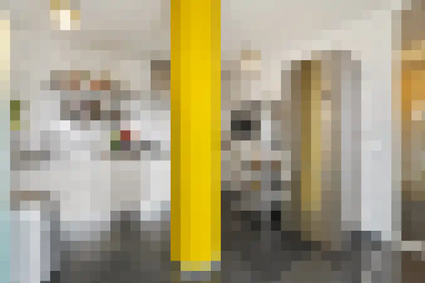 Seinpostduin 118 Den Haag thumbnail 21