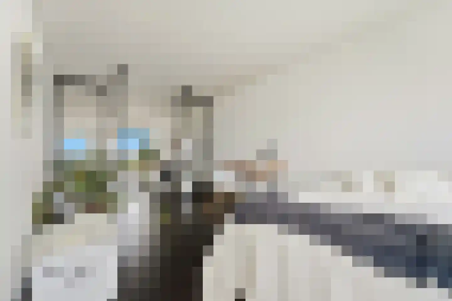 Seinpostduin 118 Den Haag thumbnail 26