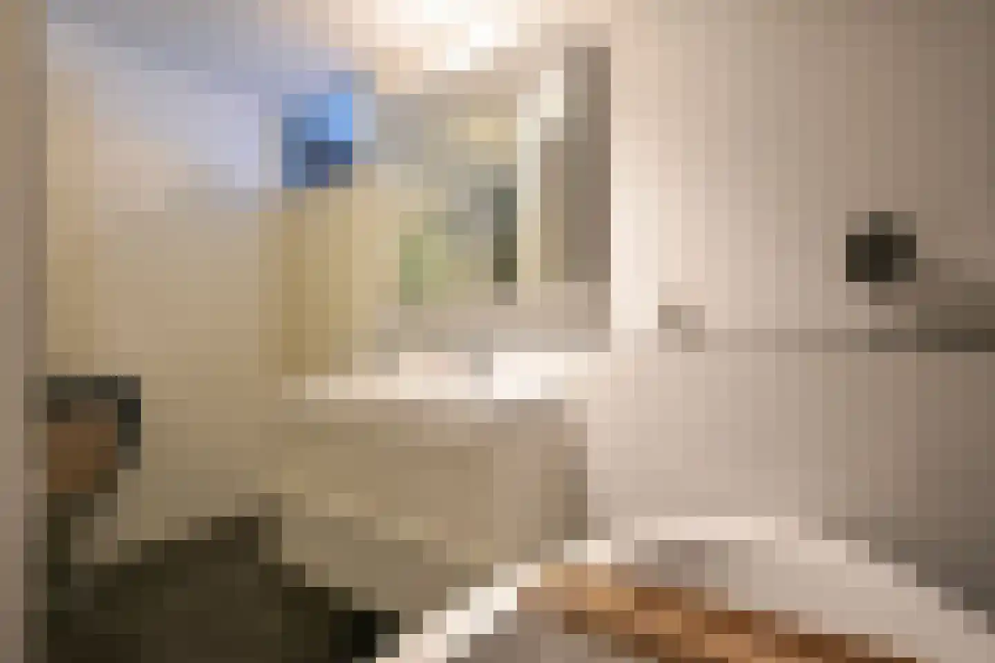 Seinpostduin 156 Den Haag thumbnail 29