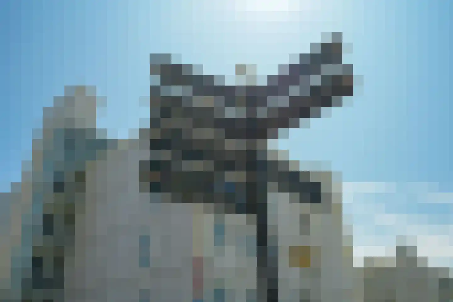 Seinpostduin 156 Den Haag thumbnail 54