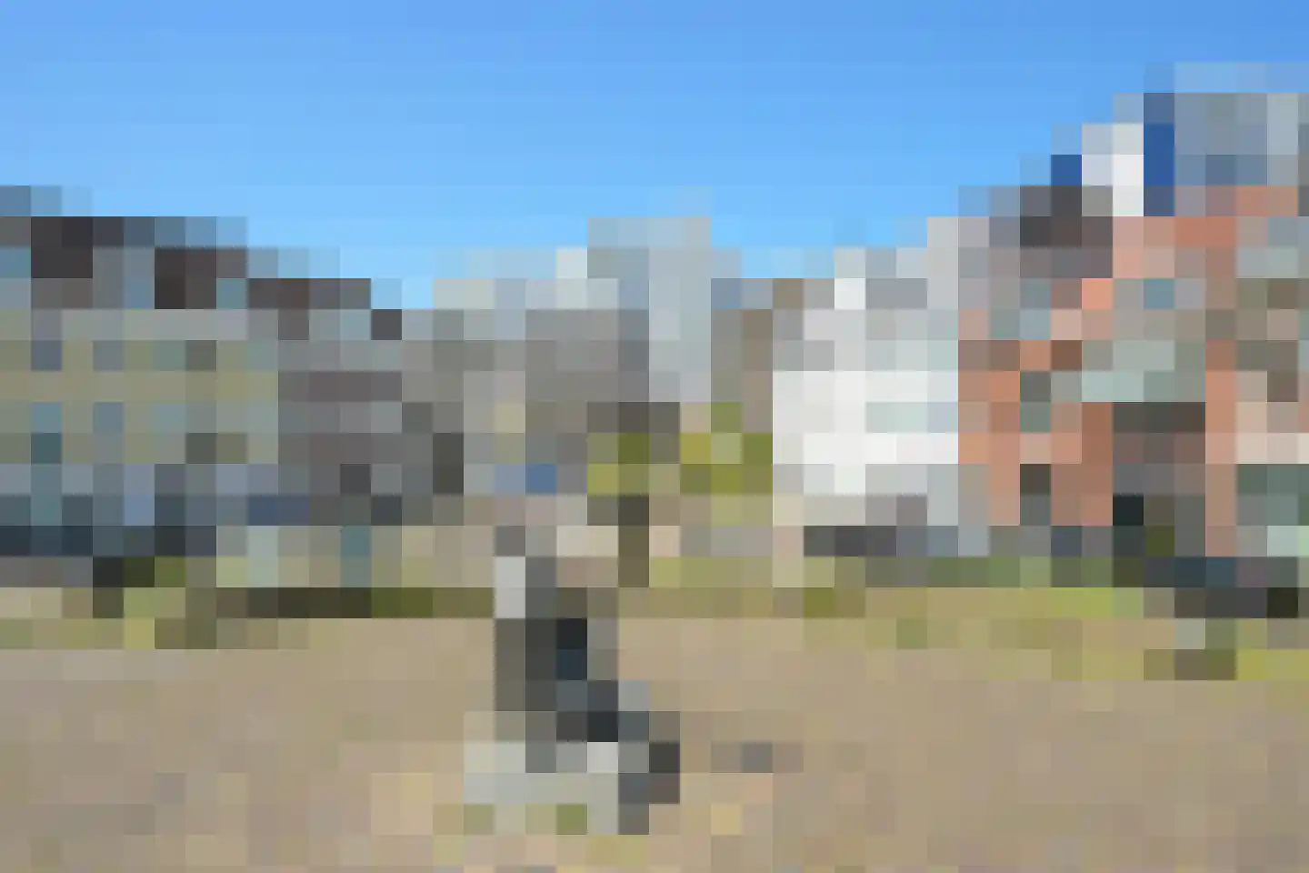 Seinpostduin 156 Den Haag thumbnail 69