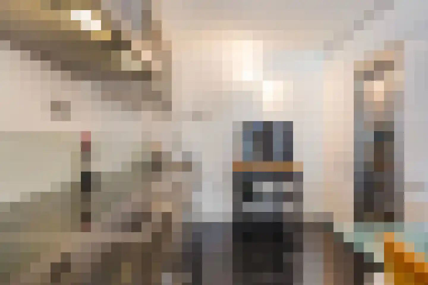 Seinpostduin 162 Den Haag thumbnail 15