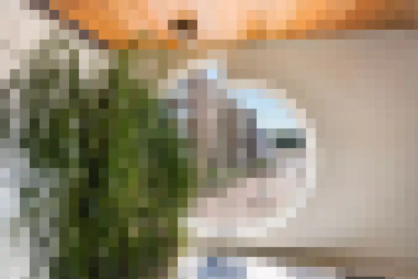 Seinpostduin 162 Den Haag thumbnail 7