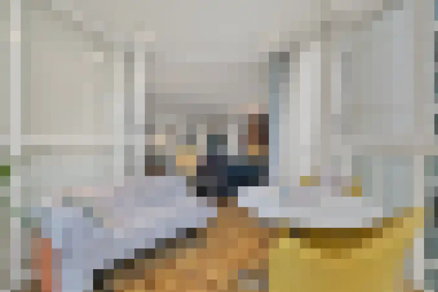 Seinpostduin 170 Den Haag thumbnail 18
