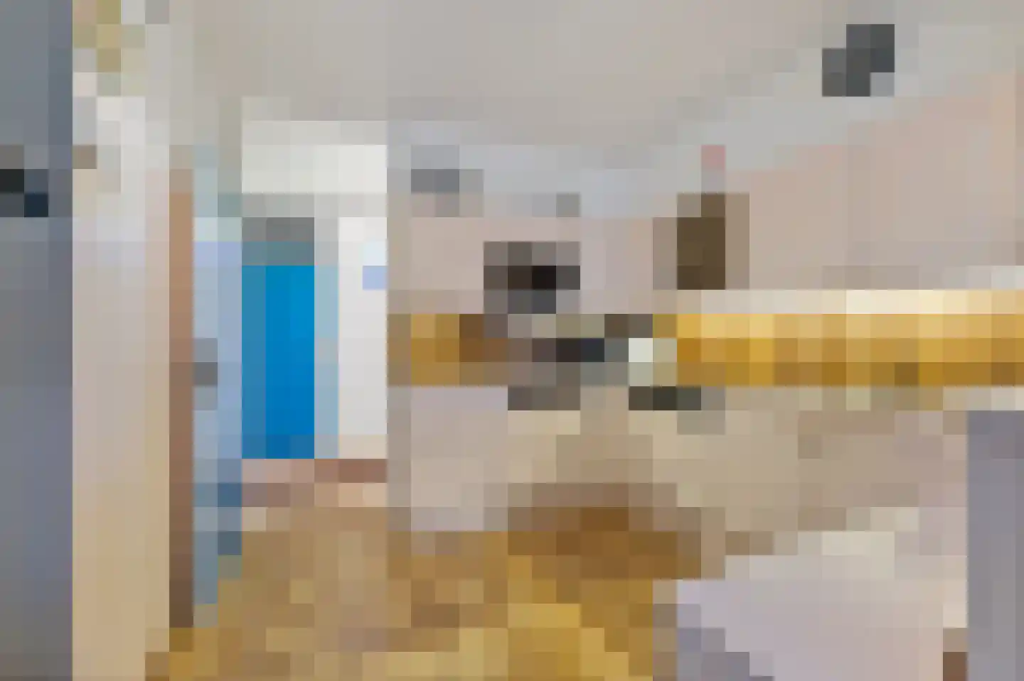 Seinpostduin 170 Den Haag thumbnail 24