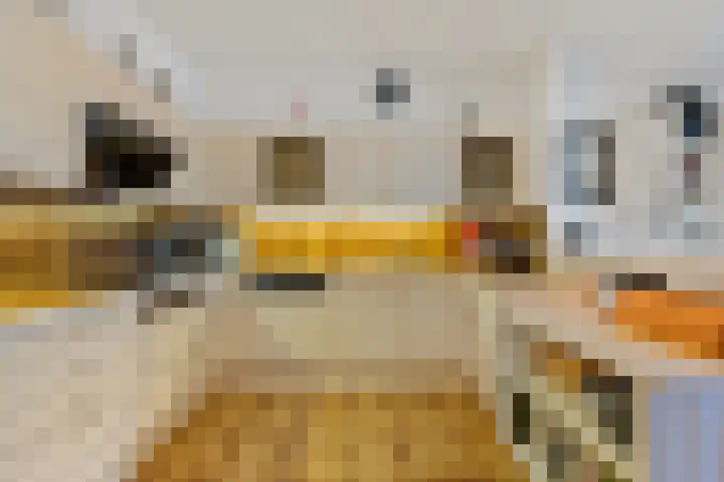 Seinpostduin 170 Den Haag thumbnail 26
