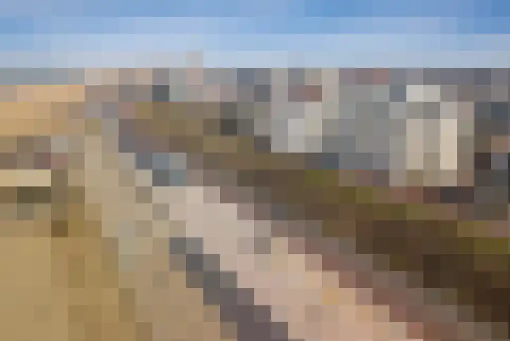 Seinpostduin 170 Den Haag thumbnail 50